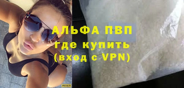 ешки Бородино
