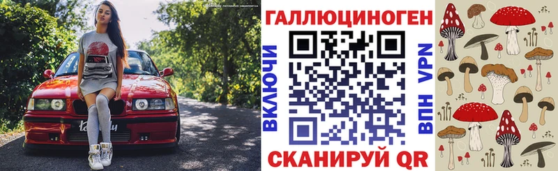 купить закладку  Губкинский  Галлюциногенные грибы Cubensis 